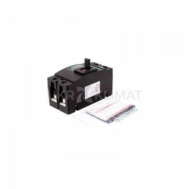 Автоматичний вимикач постійного струму BENY 2P, 250A, 500VDC (NV821389)